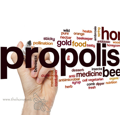 PROPOLIS TINCTURE 20ml