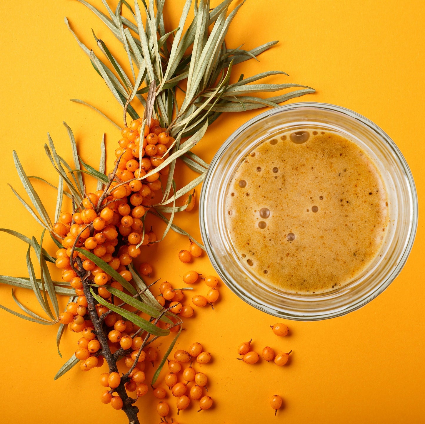 SEA BUCKTHORN POWDER HONEY MIX